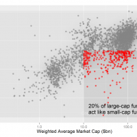 The “Small-Cap Large-Cap Funds”